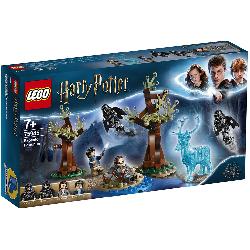 LEGO HARRY POTTER-EXPECTO...